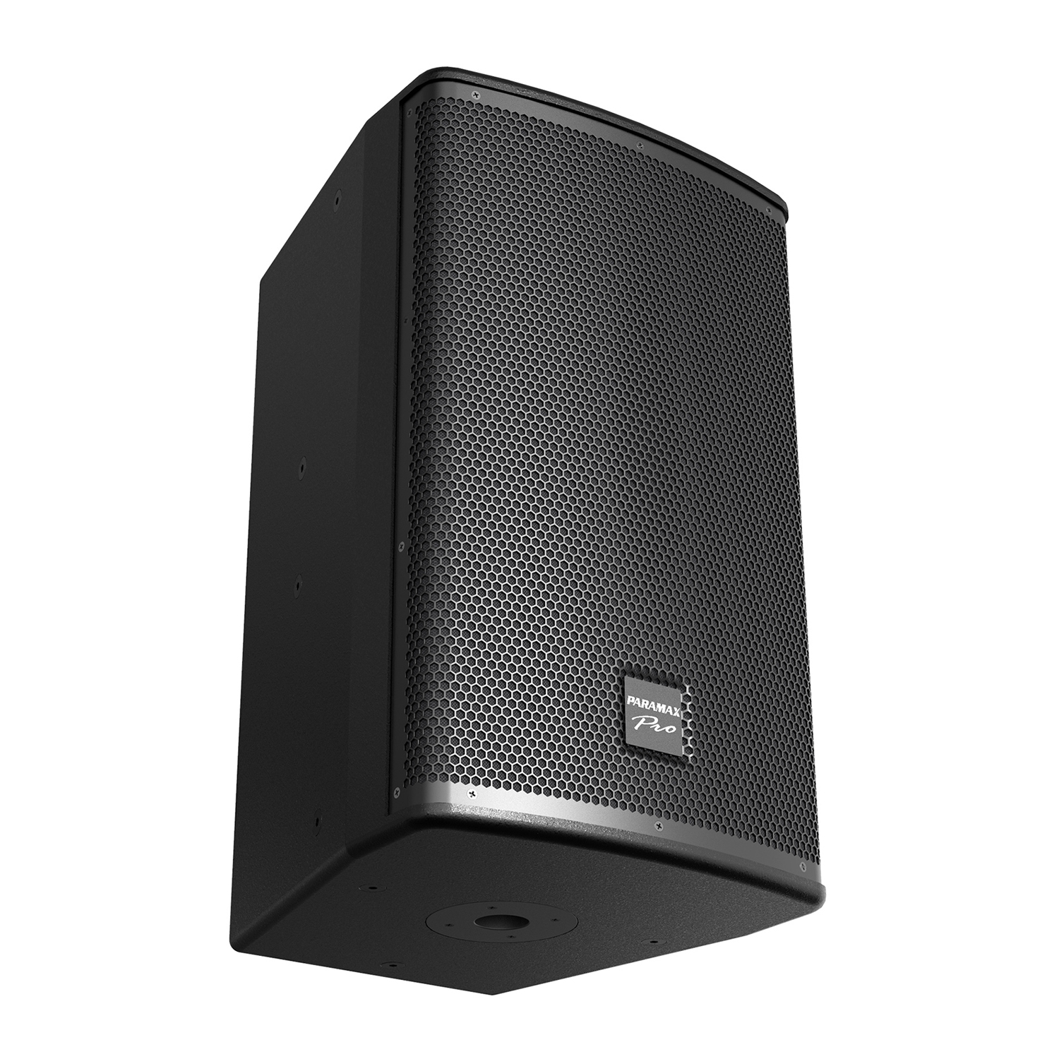 Loa full range PARAMAX PRO-V30