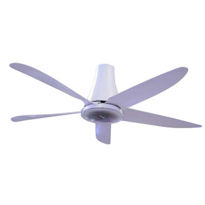 z4713943082951_756de63789c01c547f98232cbcde42fe