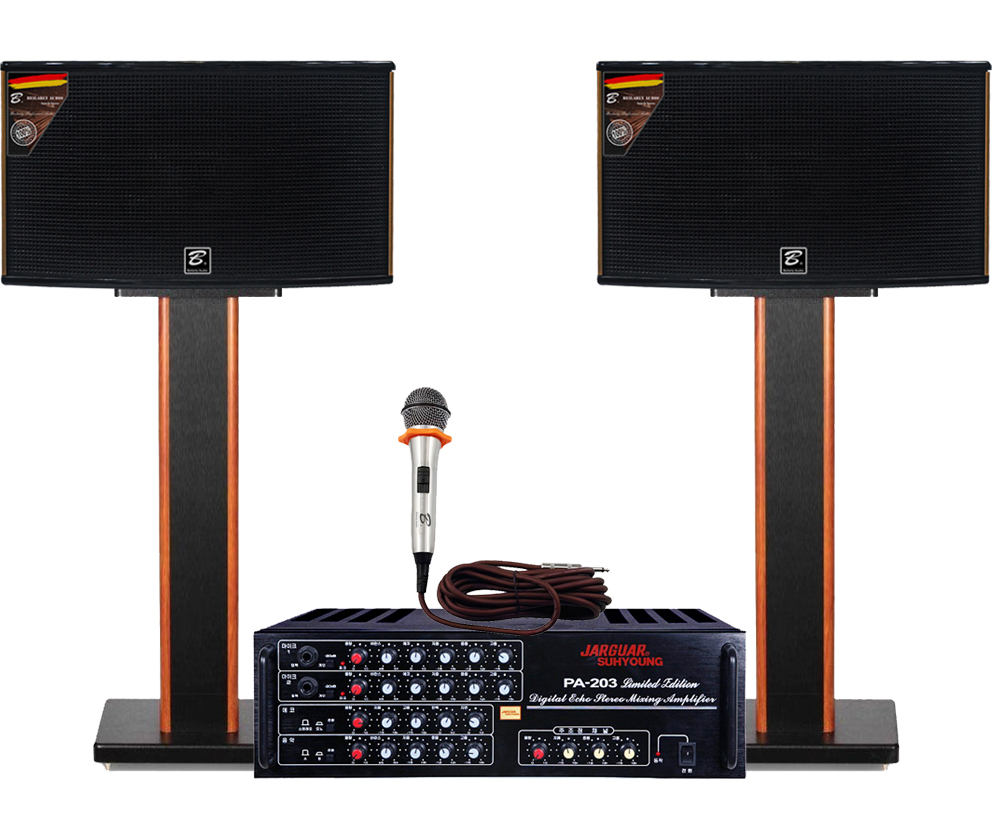 dan-karaoke-gia-dinh-vf27-1